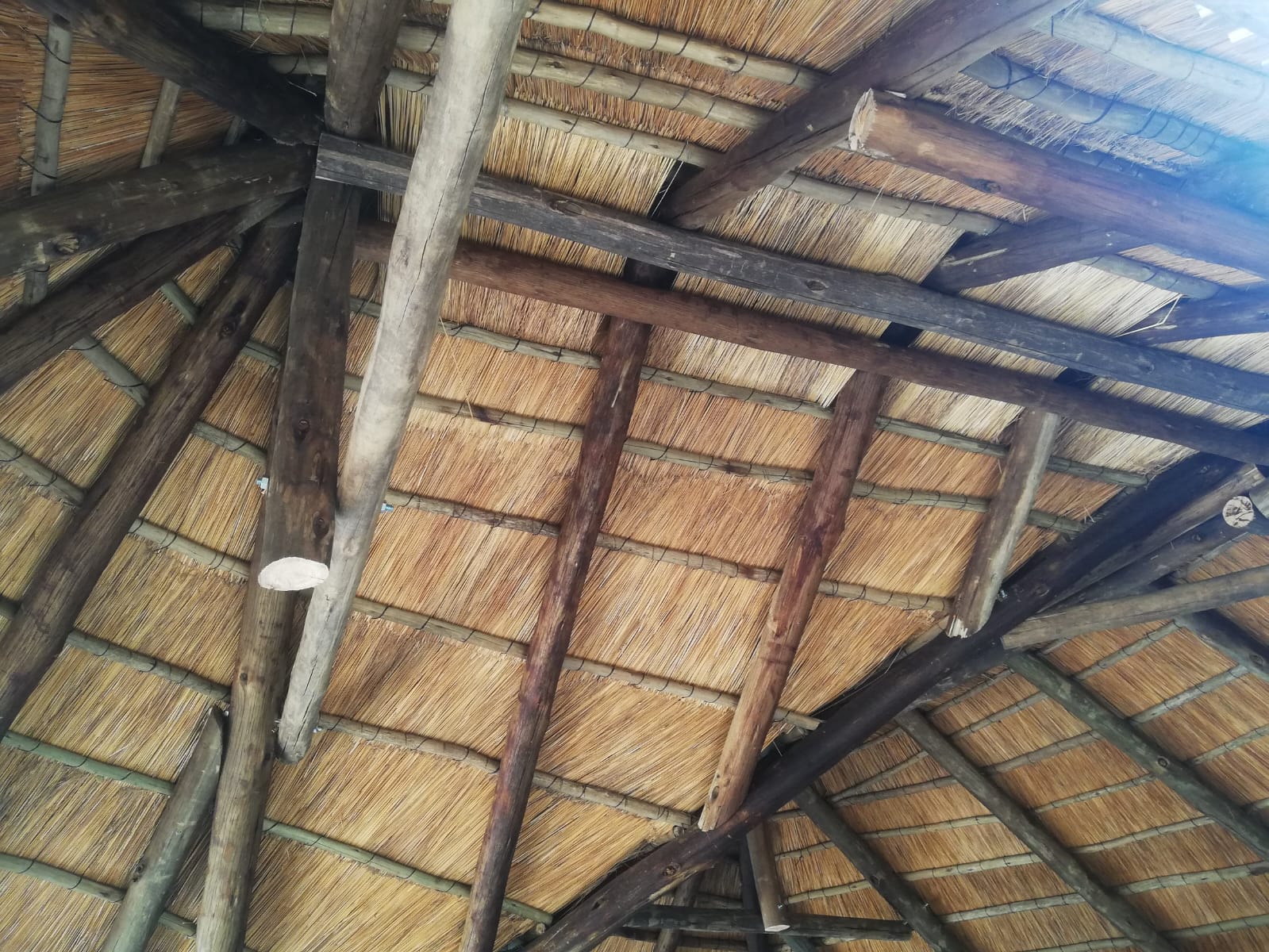 Thatch roofing project photo 11