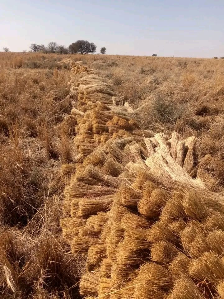 Thatch roofing project photo 13