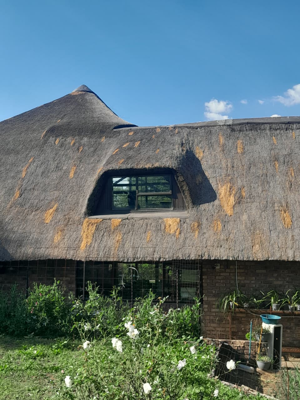 Thatch roofing project photo 16