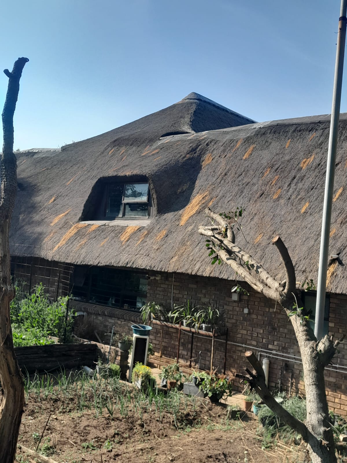 Thatch roofing project photo 17