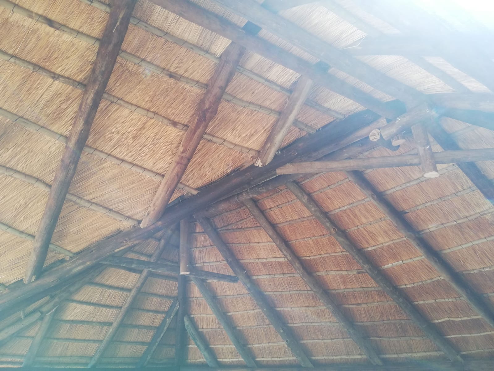 Thatch roofing project photo 20