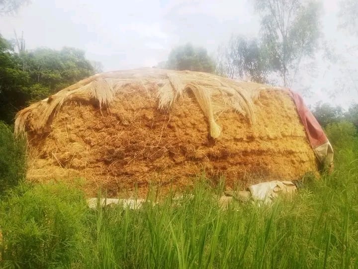 Thatch roofing project photo 23