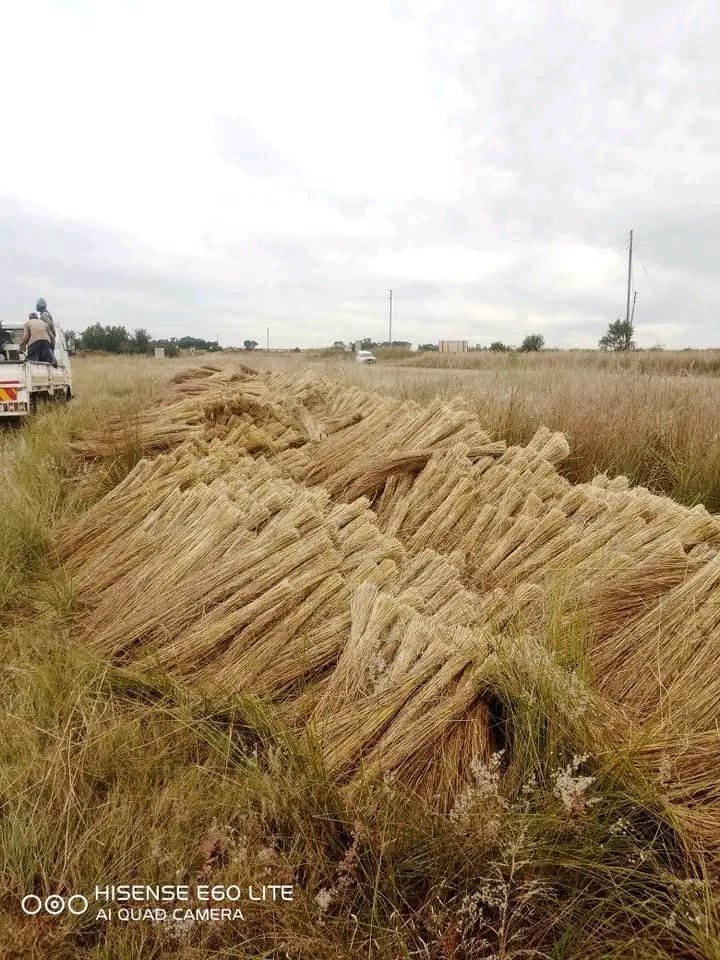 Thatch roofing project photo 24